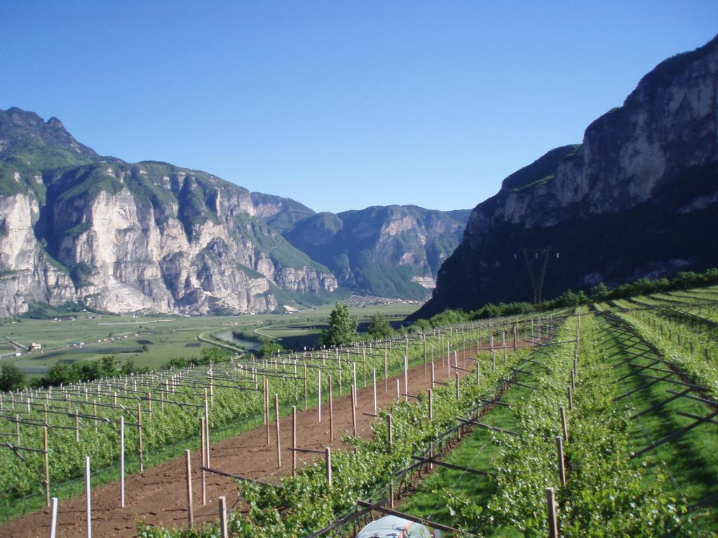 Agritur Maso Barco Villa Faedo Eksteriør bilde