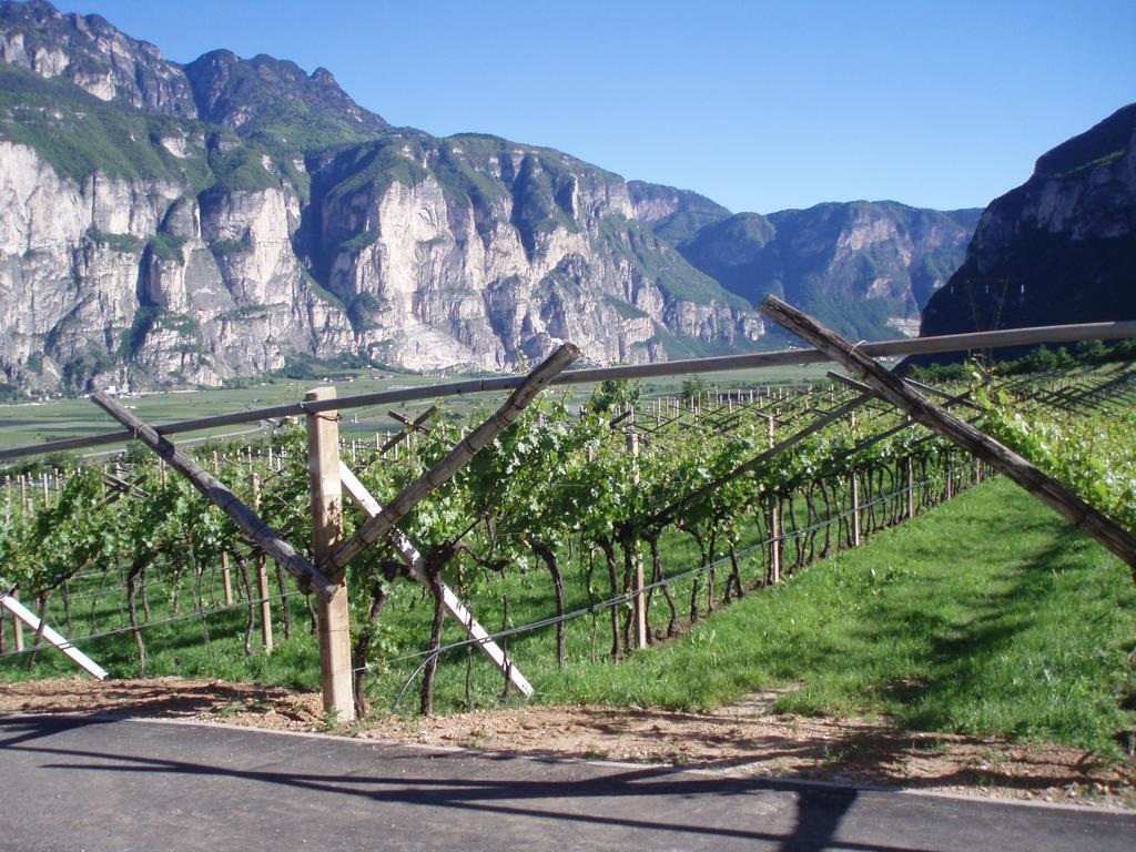 Agritur Maso Barco Villa Faedo Eksteriør bilde